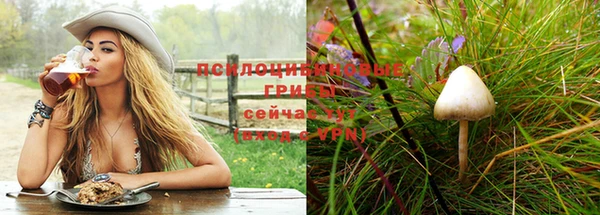 эйфоретик Беломорск