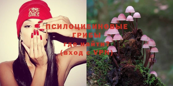 эйфоретик Беломорск